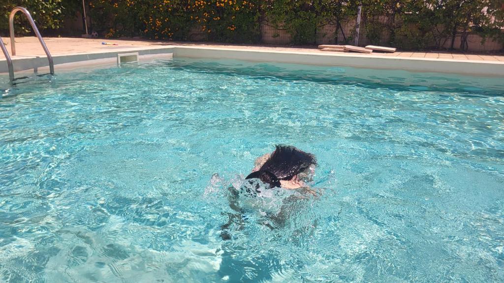 Piscina Acqua Cristallina Apartment Gaia